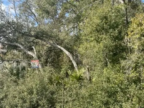 Residential Lot in Booming Area