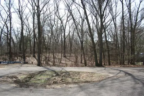 Wooded Lot in Wolfe Woods
