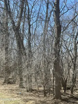 Land in Schenectady, NY