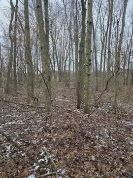 Plainwell Wooded Land For Sale