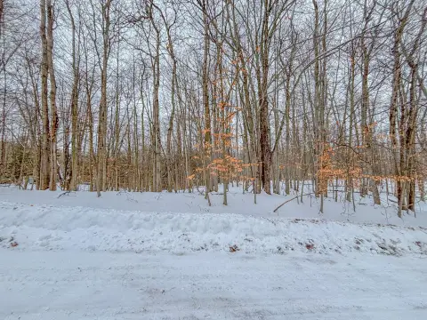 Scenic Vacant Lot in Canadian Lakes