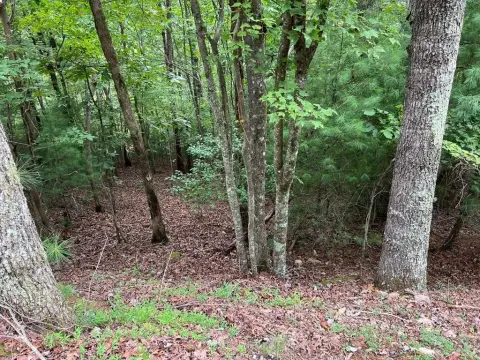 Ellijay, GA Vacant Lot