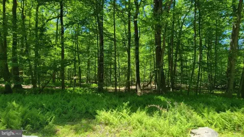 Thurmont Land for Residential Development