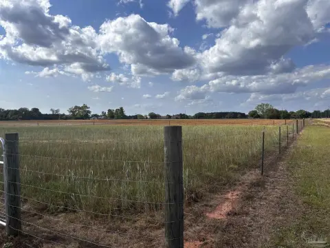 Cleared Lot in Growing Area