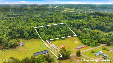 Mascot, TN Wooded Land