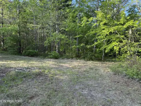 Crossville, TN Wooded Land
