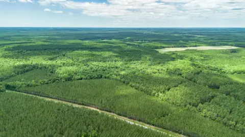 Recreation and Hunting Land Tract