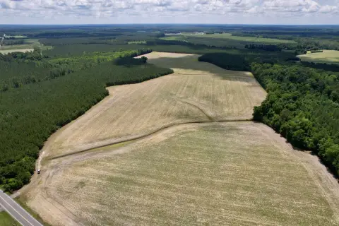 Recreational Farmland Tract with Pines