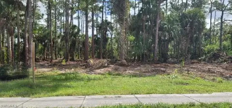 Lehigh Acres Half-Acre Lot