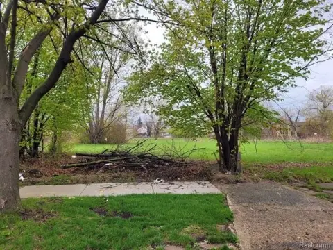 Detroit Vacant Land Bundle