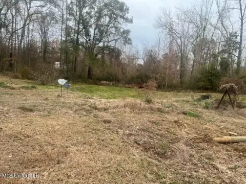 Vacant Land in Fayette, MS