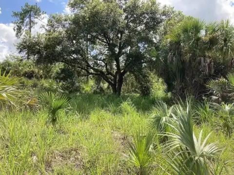 Rural Naples Land Parcel