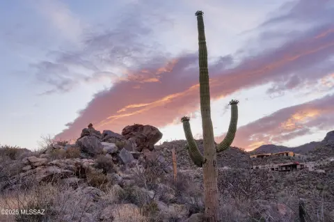 Tucson Land in Saguaro Ranch