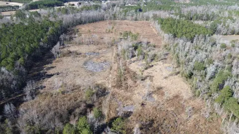 Cleared Land in Conway, SC