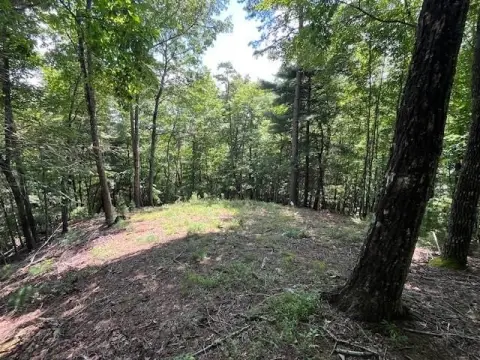 Brasstown, NC Vacant Mountain Lot