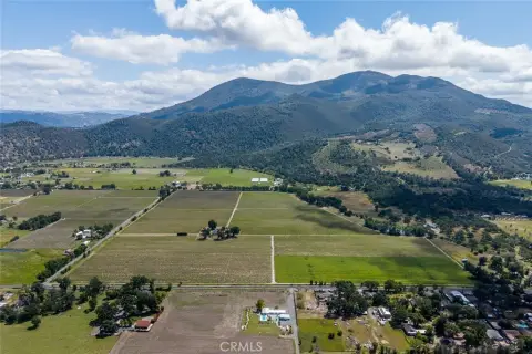 Kelseyville Vineyard Opportunity