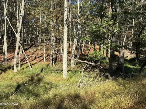 Land in Conashaugh Lakes