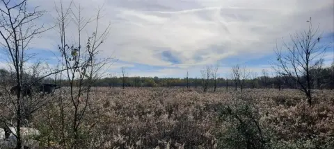 133 Acres of Unimproved Land