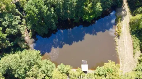 35 Acres Hunting and Homebuilding