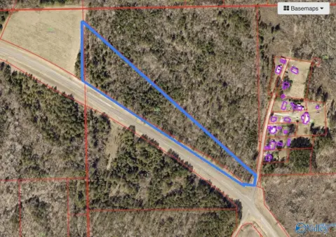 Undeveloped Land on Hwy 411