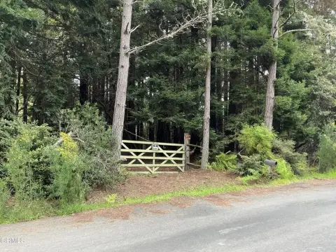 Fort Bragg Untouched Natural Gem