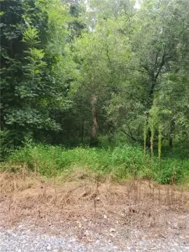 Wooded Lot Near Golf Course