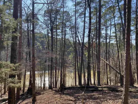 Residential Lot in Mountain Harbor