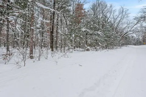 Wooded Lots Near Idlewild Lake