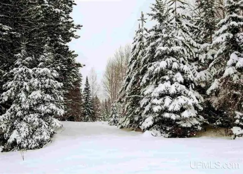 Baraga 40-Acre Recreational Land