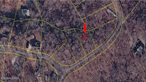 Dandridge Lot Near Douglas Lake