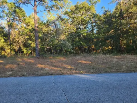 Vacant Land in Citrus Springs