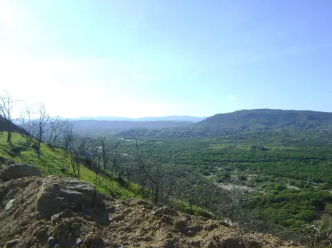 130 Acres Hillside Property