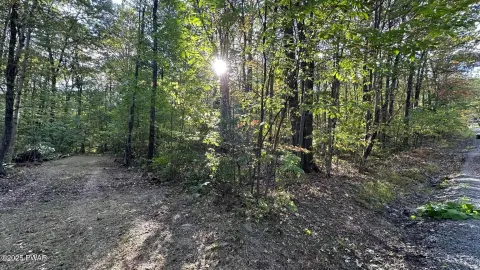 Residential Land in Waymart, PA