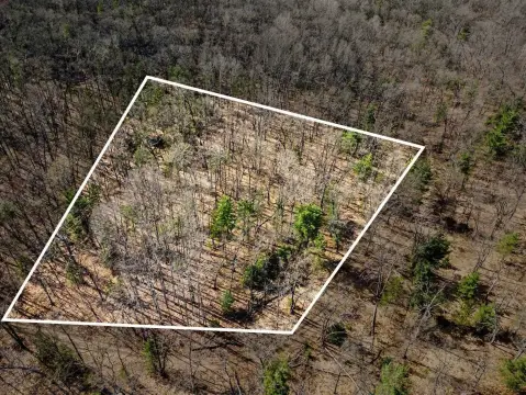Houghton Lake Vacant Hunting Land