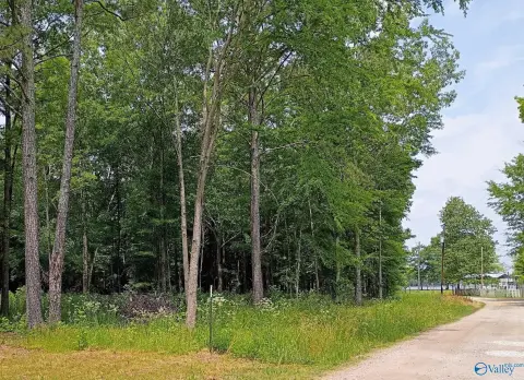 Weiss Lake View Land