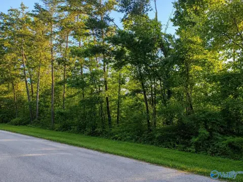 Wooded Acres Near Weiss Lake