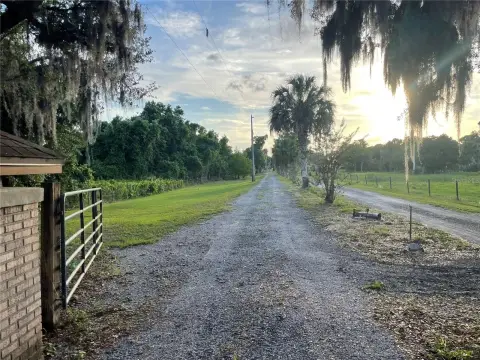 20 Acres Old Florida Land