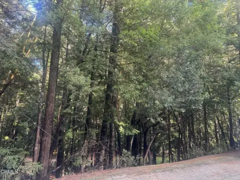 Wooded Lot in Brooktrails Subdivision