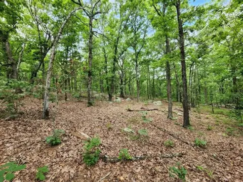 Remote Recreational Timberland