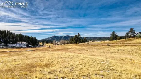 Buildable Mountain Acreage Lot