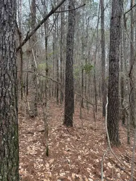 Recreational Homesite Land Tract