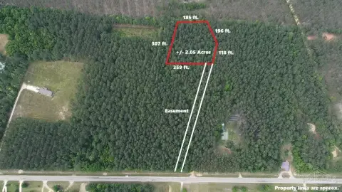 Uriah, AL Wooded Land Parcel