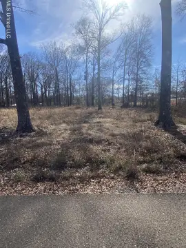 Residential Lot in Grenada, MS