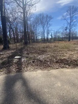 Residential Land in Grenada, MS