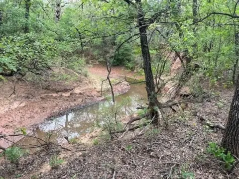 23 Acre Ranch in Loving, TX