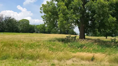Residential Land in Rockside Subdivision