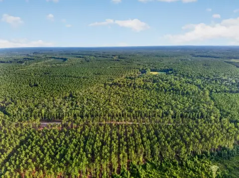 Wooded Land Tract