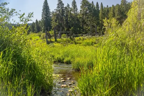 160 Acres Mountain Land Bozeman