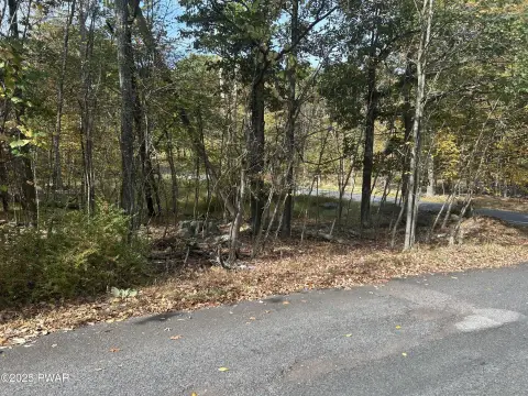 Pocono Mountain Wooded Lot