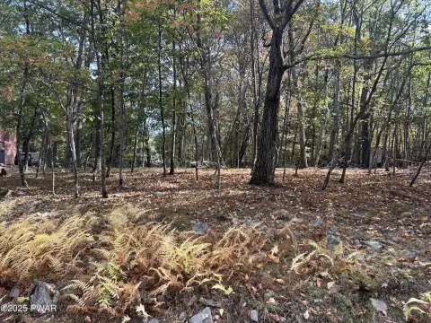 Pocono Mountain Quarter-Acre Lot